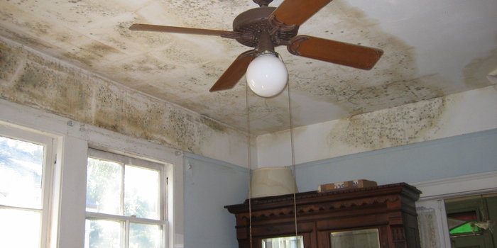 Infiltrazioni dacqua dal vicino di casa: ecco cosa fare Infiltrazioni di acqua
