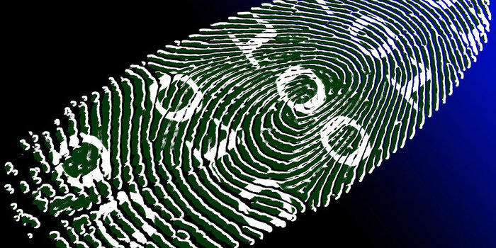 furto d’identità, furto d’identità digitale