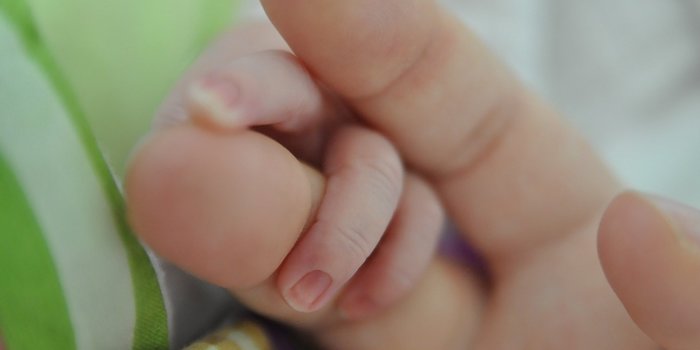 bonus mamma domani, bonus mamma domani 2017