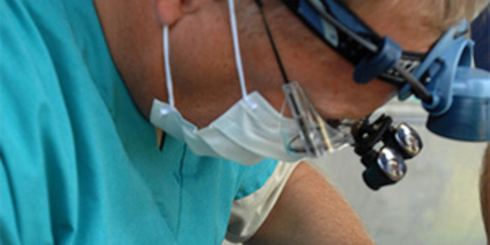 donazione organi, donazione tessuti