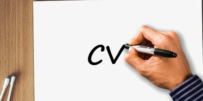 curriculum senza esperienza, curriculum senza esperienza di lavoro