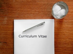 come scrivere un curriculum vitae perfetto pdf