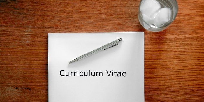 come scrivere un curriculum vitae perfetto pdf