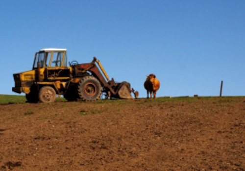 Il Contratto Di Affitto Di Un Fondo Rustico