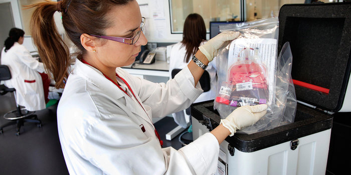 trasfusione sangue , emotrasfusione