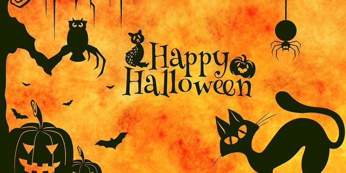 halloween, halloween festa