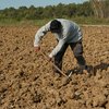 usucapione terreno, usucapione terreno agricolo