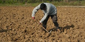 usucapione terreno, usucapione terreno agricolo