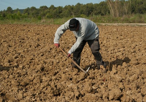 Usucapione Terreno Tempi E Procedura