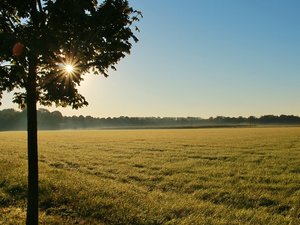 fac simile lettera per diritto di prelazione terreni agricoli