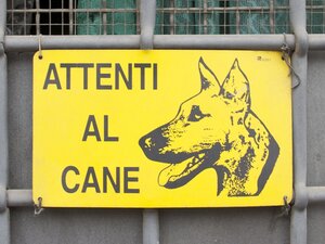 cartello attenti al cane personalizzato, cartello attenti al cane da stampare