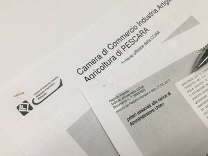 dichiarazione sostitutiva del certificato di iscrizione alla camera di commercio, dichiarazione sostitutiva iscrizione camera di commercio editabile