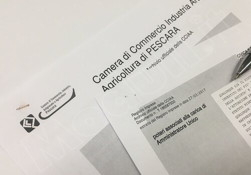 Dichiarazione Sostitutiva Del Certificato Di Iscrizione Alla Camera Di Commercio