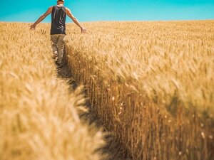 usucapione terreno agricolo fac simile