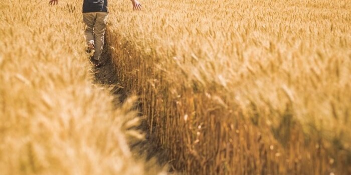 usucapione terreno agricolo fac simile