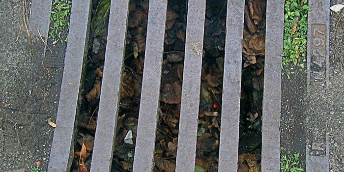 scarico acque reflue domestiche fuori fognatura