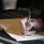 Testamento olografo fac simile WORD