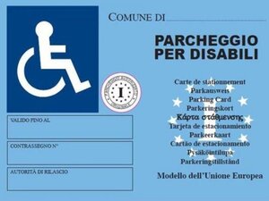 Fac simile contrassegno disabili europeo