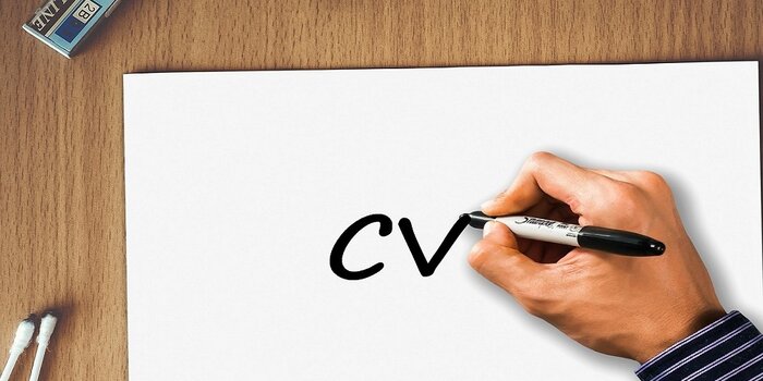curriculum vitae senza esperienza lavorativa download, modello curriculum vitae senza esperienza lavorativa