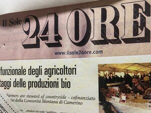 disattivare abbonamento sole 24 ore