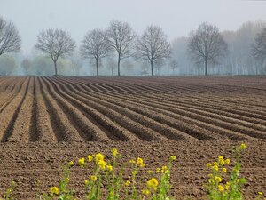 enfiteusi esempio, contratto enfiteusi