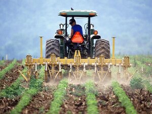 contratto di affitto fondo rustico forma scritta, contratto affitto terreno agricolo