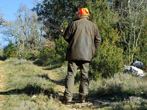 denuncia per bracconaggio, esposto per bracconaggio