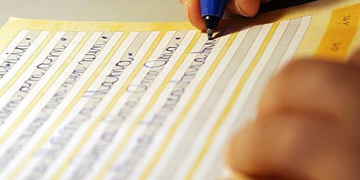 dichiarazione di nomina fac simile