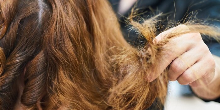 pediculosi avviso ai genitori, avviso pidocchi