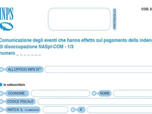 modulo naspi com, naspi com comunicazione