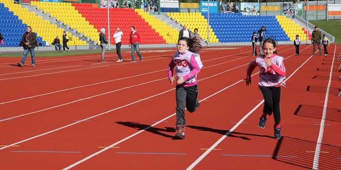 statuto associazione sportiva dilettantistica, statuto asd fac simile