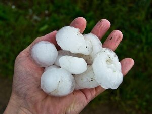 denuncia grandine fac simile, modulo richiesta danni grandine