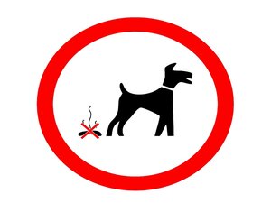 cartelli per cani che sporcano da stampare