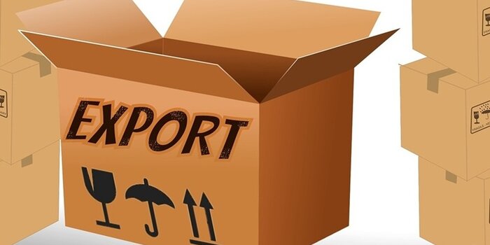 fac simile dichiarazione libera esportazione word